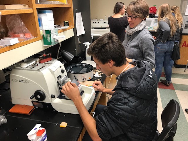 student working with instructor in lab