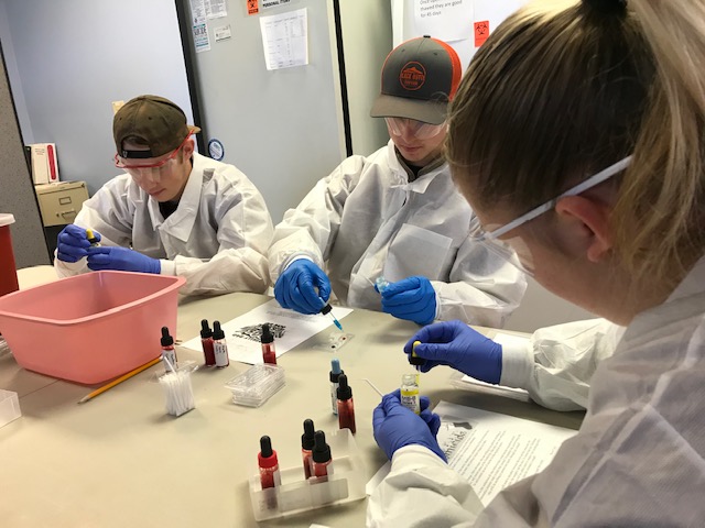 students doing lab work