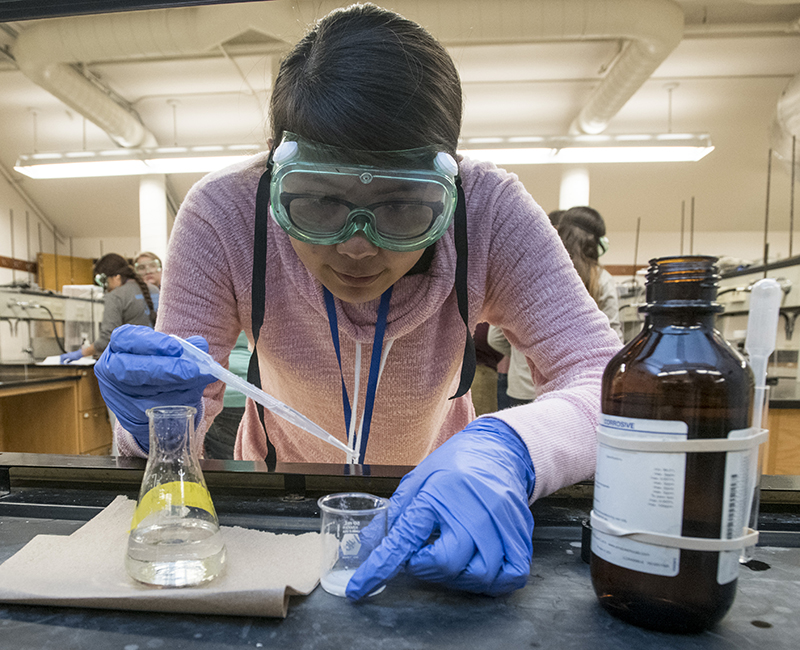 student working in the lab